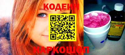 крисы Моздок