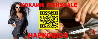 крисы Моздок