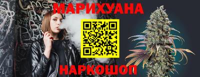 крисы Моздок