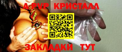 крисы Моздок