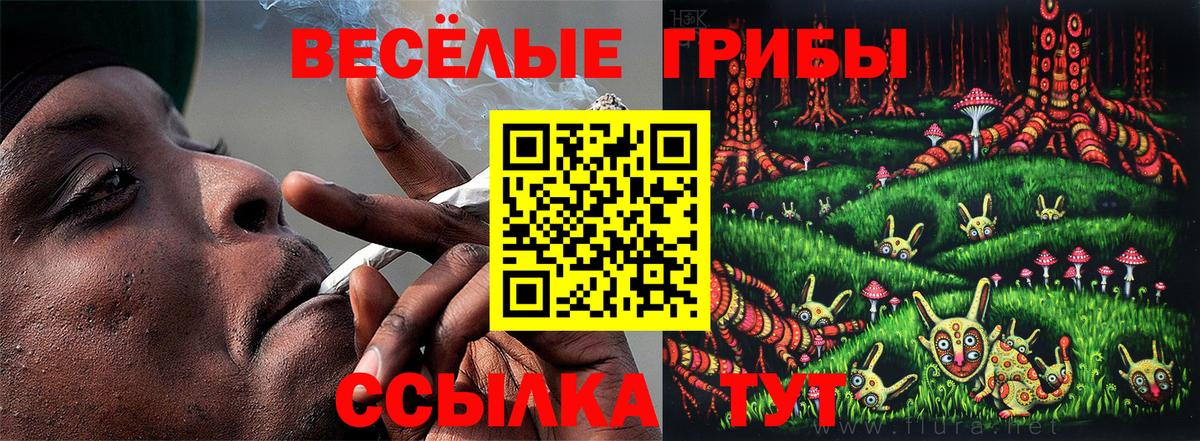 Губкинский  Псилоцибиновые грибы прущие грибы  Галлюциногенные грибы прущие грибы  Вход с VPN 