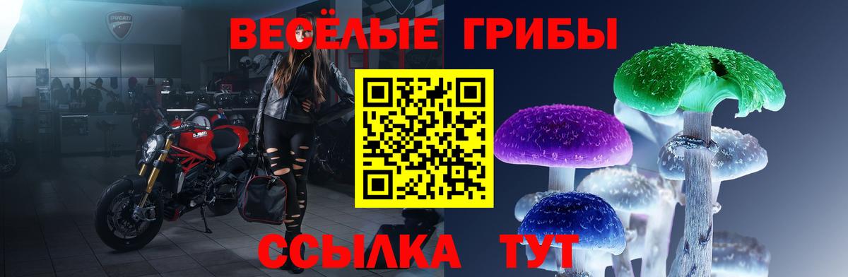Галлюциногенные грибы ЛСД Губкинский