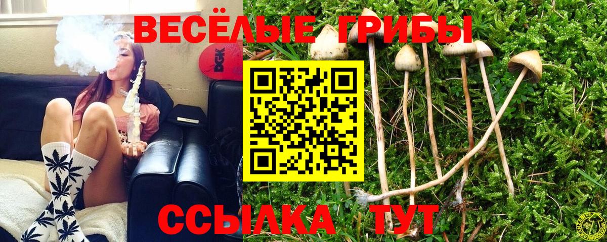Меф Губкинский